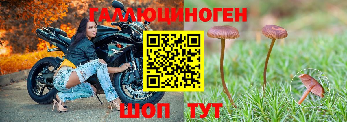 Галлюциногенные грибы Psilocybine cubensis  Вход с VPN  Лангепас 