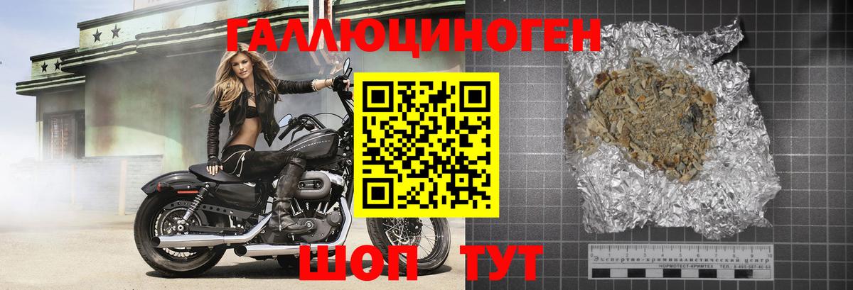 Галлюциногенные грибы Psilocybe Лангепас